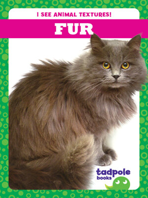 cover image of Fur